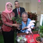 image_events-main